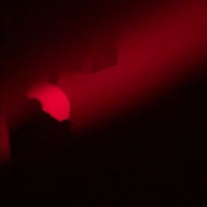 Meet your Posher, Adebimpe